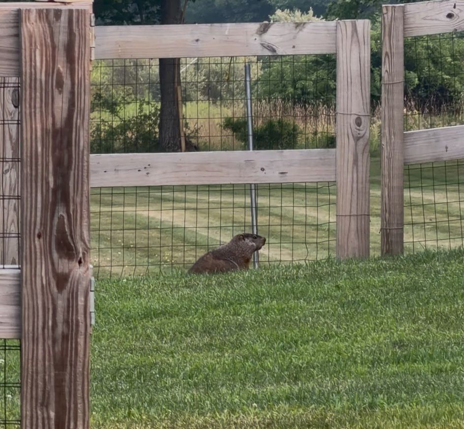 a resident of one of the colonies, declining to comment