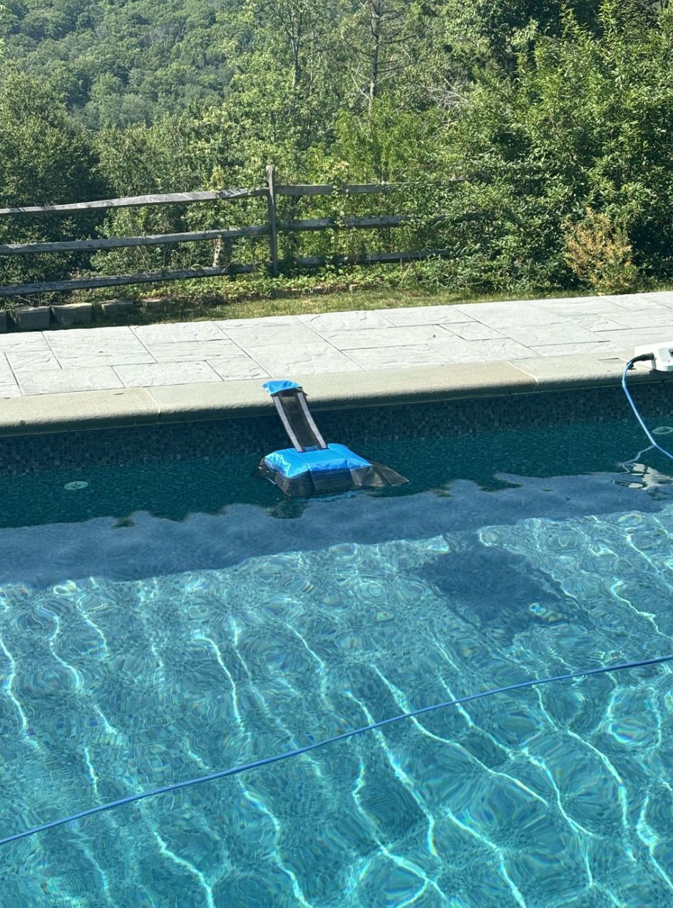the new frog ramp, on duty